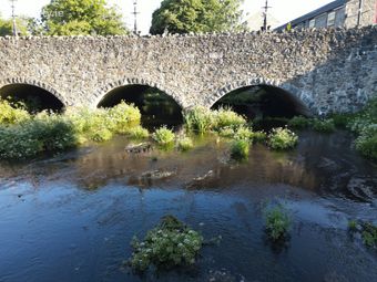 Bridge View, Virginia, Co. Cavan - Image 5