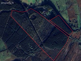 Graffy, Killasser, Swinford, Co. Mayo, Swinford, Co. Mayo