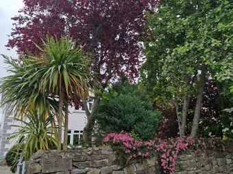 227 Ryevale Lawns, Leixlip, Co. Kildare - Image 2
