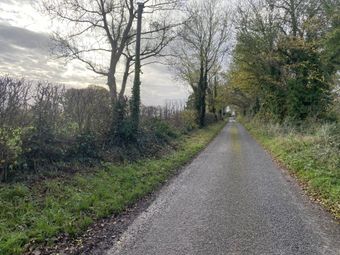 Ballynarooga, Ballingarry, Limerick, Co. Limerick, Castletown, Co. Limerick - Image 3