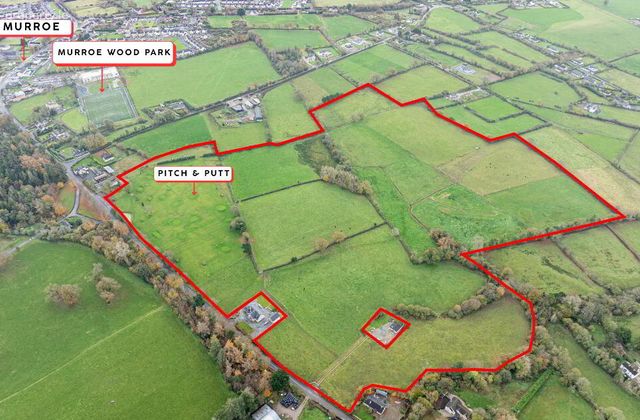 Glenstal Cross, Murroe, Co. Limerick, Murroe, Co. Limerick - Click to view photos