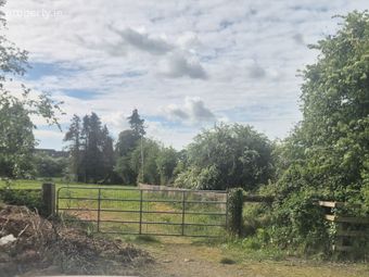 C. 9 Acres Agri Land, Abbey Meadows, Castledermot, Co. Kildare - Image 4