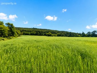 Forest View, Banteer, Mallow, Co. Cork, P51e0p2, Banteer, Co. Cork - Image 3