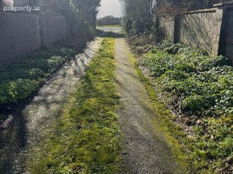 Portnick, Ballinasloe, Ballinasloe, Co. Galway - Image 5