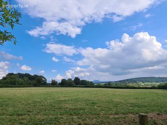 Freynestown, Dunlavin, Co. Wicklow - Image 4