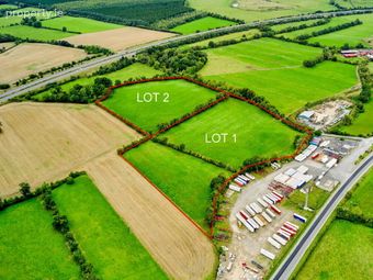 19 Acres Ballyonan, Broadford, Co. Kildare, Broadford, Co. Kildare - Image 3