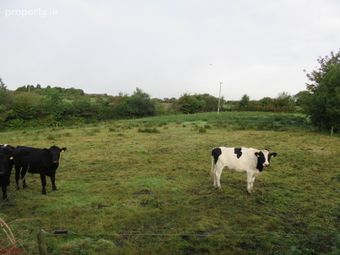 Ratharoon West, Bandon, Co. Cork - Image 3