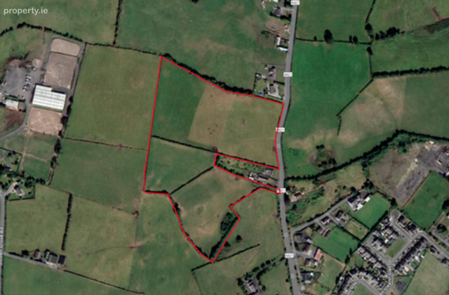 Whitepark, Approx. 6.29 Hectares / 15.54 Acres, Roscrea, Co. Tipperary, Roscrea, Co. Tipperary - Click to view photos