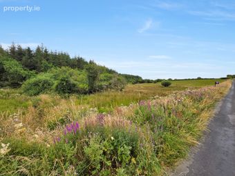 Lot 1 Plot Of Land Derrynacarragh, Folio Ce32601f, Kilmaley, Ennis, Co. Clare, Ennis, Co. Clare - Image 4