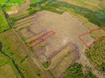 Land At Moneenally, Williamstown, Co. Galway, Williamstown, Co. Galway - Image 3