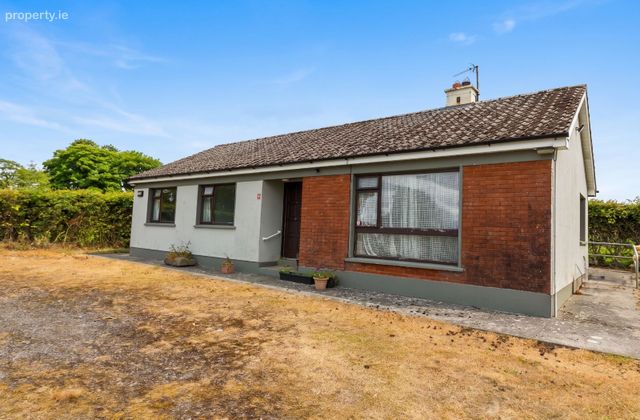 Mangan, Carrick-on-suir, Grangemockler, Co. Tipperary - Click to view photos