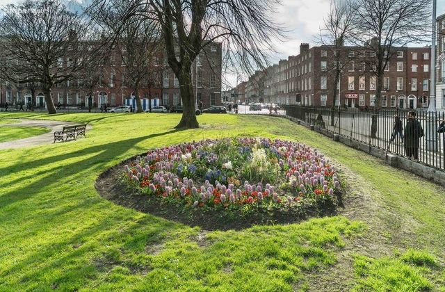 Apartment 3, 8 Mountjoy Square North, D01 KX92, Dublin 1 - Click to view photos