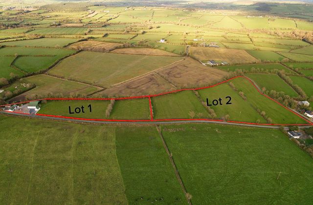 Ballynolan, Freshford, Three Castles, Co. Kilkenny - Click to view photos