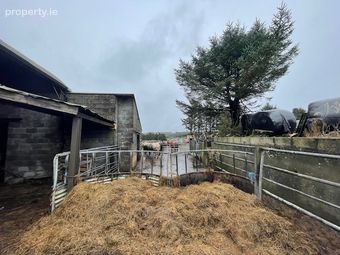 Clouna South, Ennistymon, Co. Clare - Image 4