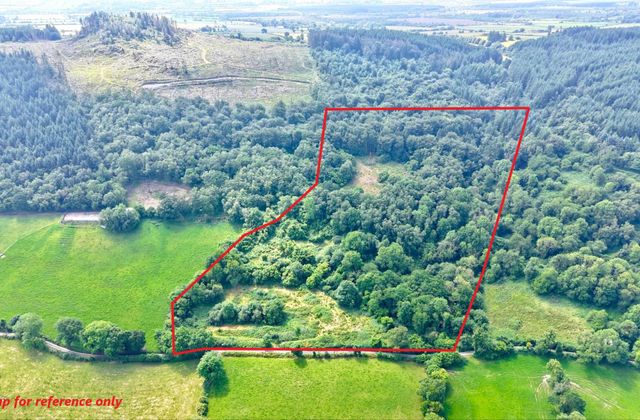 Lands At Kylatlea, Mullinahone, Co. Tipperary, Mullinahone, Co. Tipperary - Click to view photos