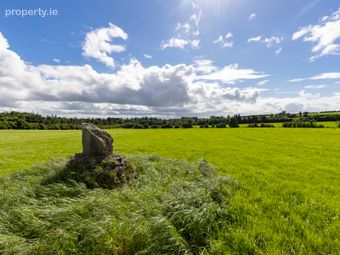 27.5 Ha (68 Acres), Killineer, Drogheda, Co Louth, Tullyallen, Co. Louth - Image 4