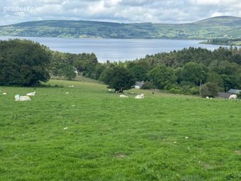 Land C. 4 Acres / 1.6 Ha., Annacarney, Valleymount, Co. Wicklow - Image 3