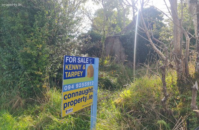 Park, Carracastle, Co. Mayo - Click to view photos