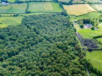 Lands, Rossarrell, Glaslough, Co. Monaghan, Glaslough, Co. Monaghan - Image 3