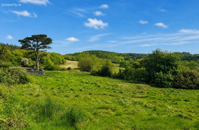 C.2 Acre Of Land At Glen Of The Downs, Delgany, Co. Wicklow - Click to view photos