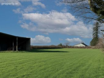Boughlone, Portlaoise, Co. Laois, Portlaoise, Co. Laois - Image 2