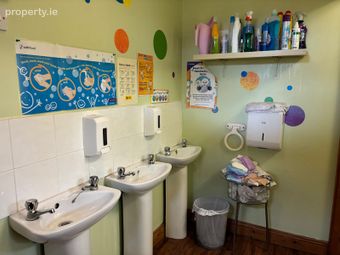 Clonincurragh, Mountrath, Mountrath, Co. Laois - Image 4