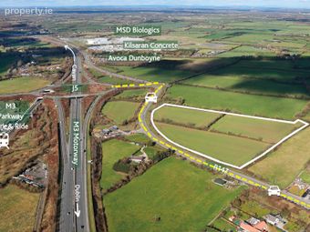 15 Acres Bracetown, Clonee, Dublin 15, Co. Dublin, Clonee, Co. Meath