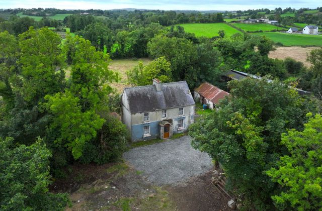 Dingins, Lough Gowna, Co. Cavan - Click to view photos
