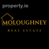 Branded Agent Logo