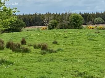 Graigueachullaire, Dunmore, Co. Galway - Image 3