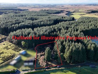 Srah Lower, Carracastle, Ballaghaderreen, Co Mayo, Carracastle, Co. Mayo - Image 2