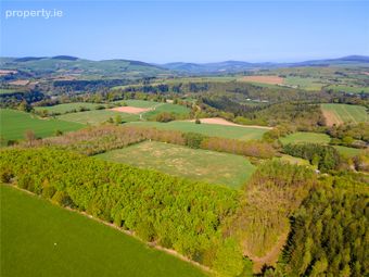 Land, Ballyarthur, Woodenbridge, Co. Wicklow, Woodenbridge, Co. Wicklow - Image 5