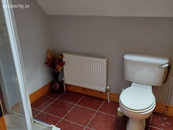 Dringeen, Cong, Claremorris, Co. Mayo, Cong, Co. Mayo - Image 2