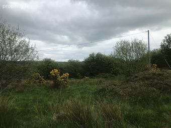 Clontra West, Sixmilebridge, Co. Clare - Image 5
