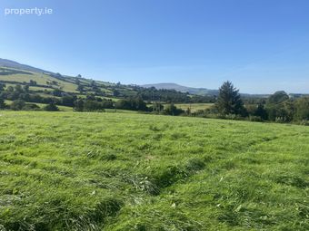 Ballinree, Bagenalstown, Co. Carlow - Image 2