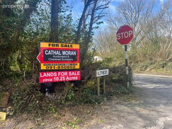 Pollnabanny , Co. Galway, Athenry, Co. Galway - Image 5
