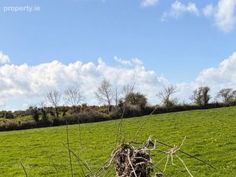 Boley, Ballycullane, Co. Wexford - Image 3