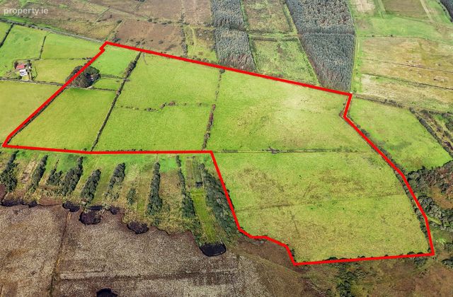 46 Acres Of Land In Knocknagur, Tuam, Co. Galway, Mullagh, Co. Galway - Click to view photos