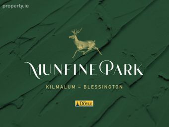 Munfine Park, Blessington, Co. Wicklow - Image 2