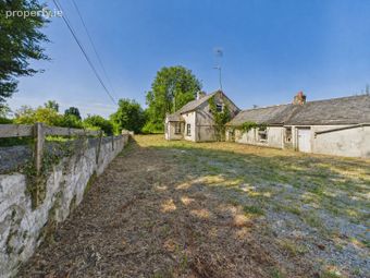 Avenue Cattery,The Avenue,Piltown,Co. Kilkenny, Piltown, Co. Kilkenny