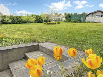 Carricksallagh, Carlow Road, Stradbally, Portlaoise, Co. Laois, Ballaghmore, Co. Laois - Image 4