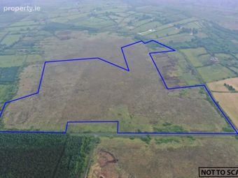 57.67 Acres, Cloonelt &amp; Kilmore, Castlerea, Co. Roscommon, Loughglynn, Co. Roscommon - Image 2