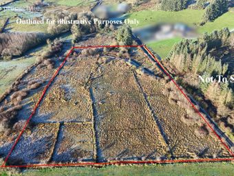 Cuildoo, Killasser, Swinford, Co. Mayo, Swinford, Co. Mayo - Image 3