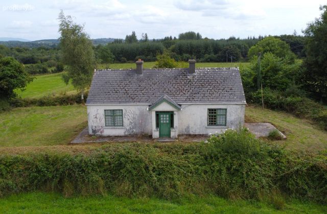 Tintagh, Corrigeenroe, Corrigeenroe, Co. Roscommon - Click to view photos