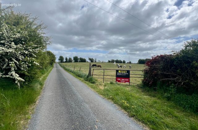 Earlspark, Ballinasloe, Ballydangan, Co. Roscommon - Click to view photos