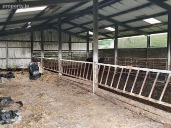 Prime Farm Yard &amp; Sheds On 2 Acres (approx.) At Beefield, Kilconnell, Ballinasloe, Co. Galway, Cloonymorris, Co. Galway - Image 4