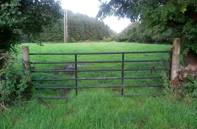 Ballinagran, Balla, Co. Mayo - Click to view photos