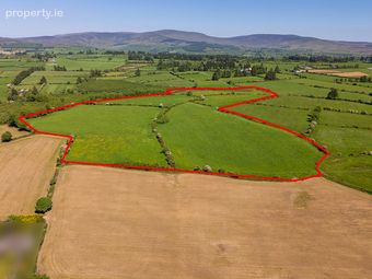 Circa 40 Acres, Touraneena, Ballinamult, Co. Waterford - Image 5