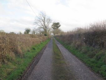 Barnalick, Adare, Co. Limerick - Image 3