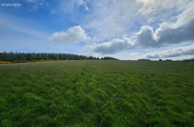 Slieveroe, Ballymore Eustace, Co. Kildare - Click to view photos